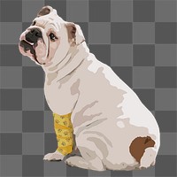 Injured dog png sticker, English Bulldog on transparent background