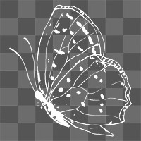 Butterfly sticker png, hand drawn illustration, transparent background