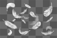 Falling feathers png background, transparent design