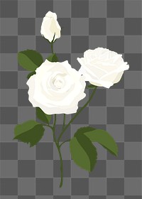 Realistic rose png sticker, white flower illustration