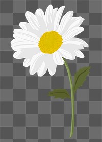 Aesthetic daisy png sticker, white flower collage element on transparent background