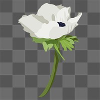 Anemone flower png sticker, white botanical illustration on transparent background