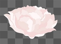 Aesthetic carnation png flower sticker, white design on transparent background