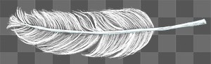 Feather png design element