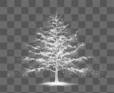 PNG Christmas tree light outdoors nature night AI generated Image by rawpixel