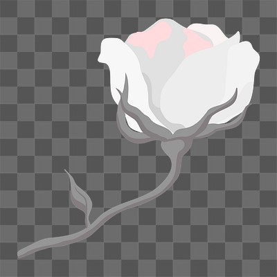 poinsettia clipart free black and white rose