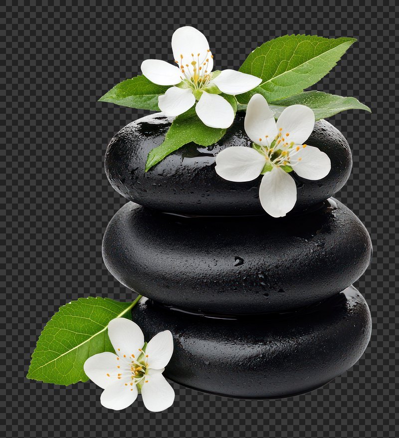 PNG Flowers concept stones white.