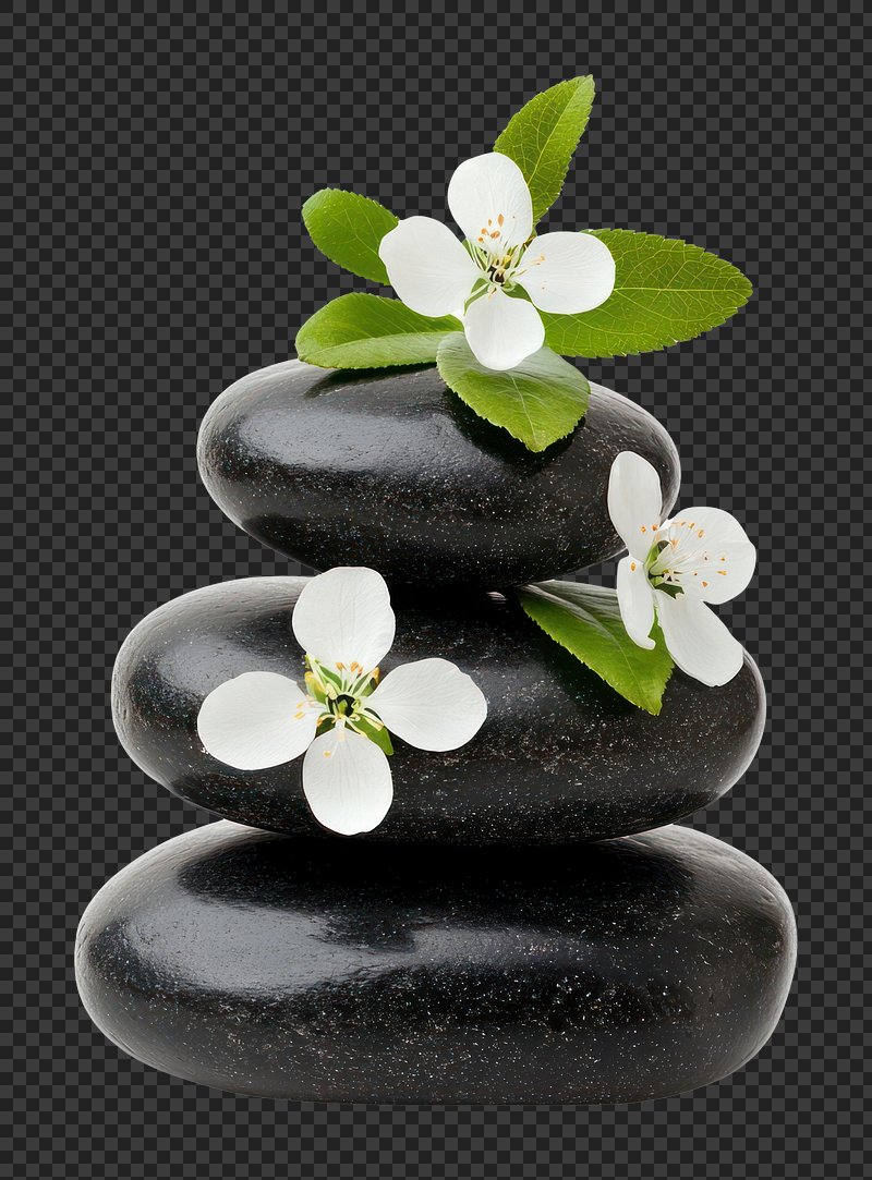 PNG Balanced stones flowers white spa.