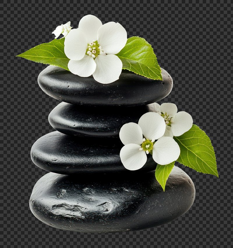 PNG Balanced stones flowers black white.