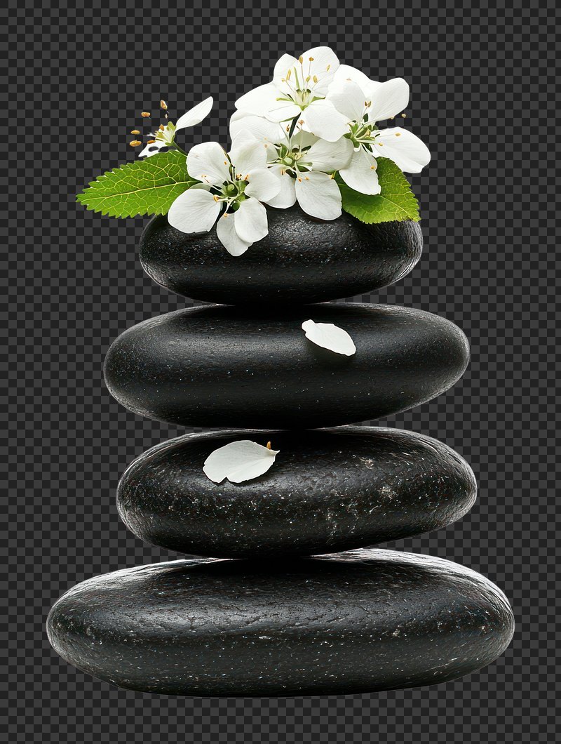 PNG Balanced stones wellness flowers concept.