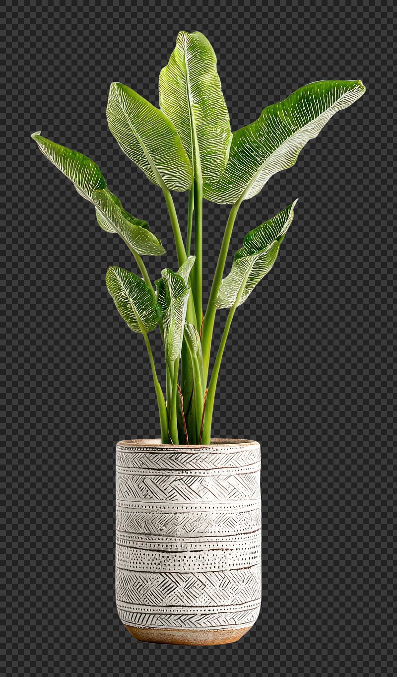 PNG Real tall houseplant pot decorative patterned.