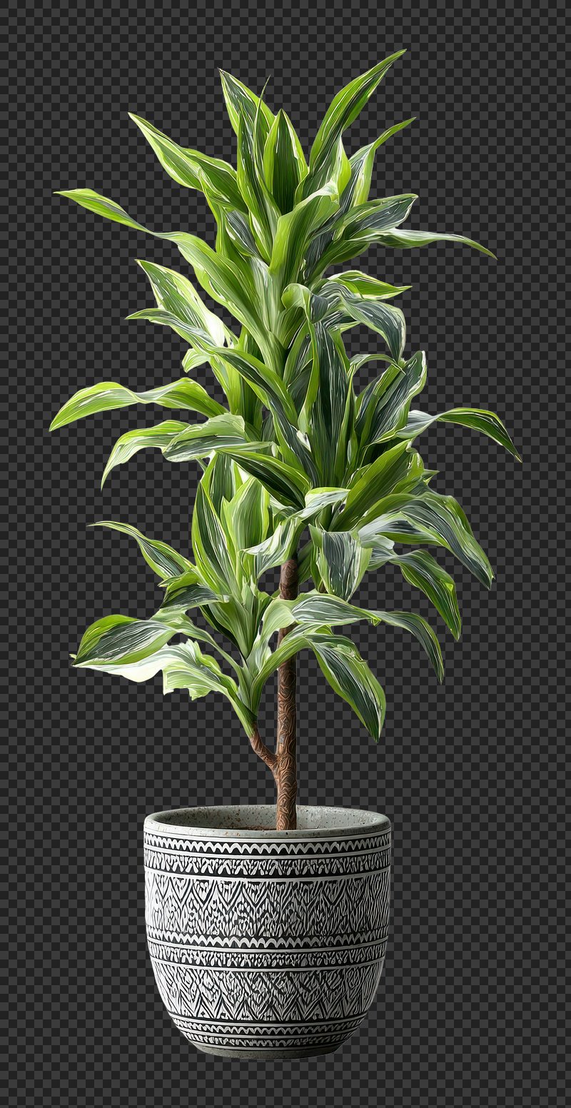 PNG Real tall houseplant planter pot decorative.
