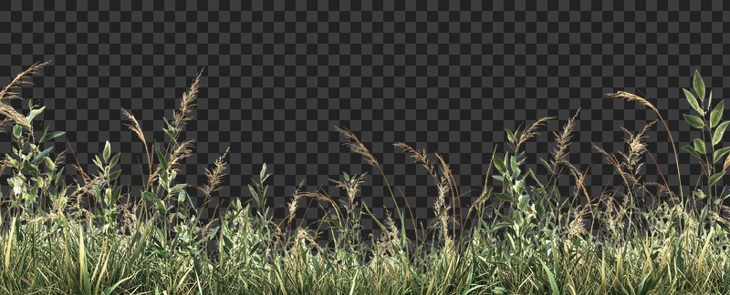 PNG Dried grass border plants background green.