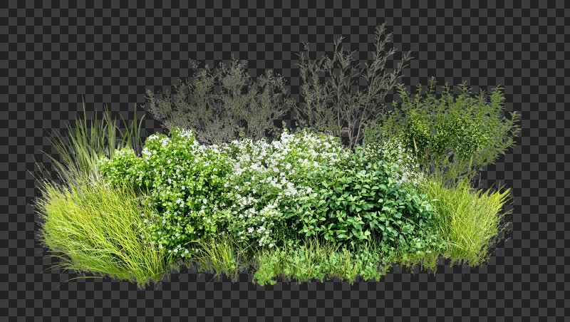PNG Group of different bushes plants green illustration.