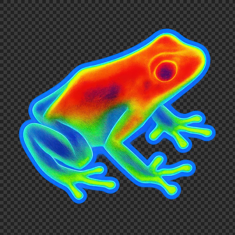 PNG Colorful thermal frog illustration