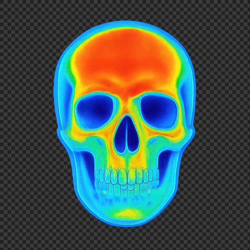 PNG Colorful thermal skull illustration.