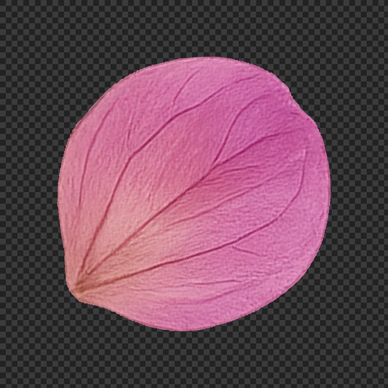 Stop+symbol+png Transparent Images | Free Photos, PNG Stickers ...