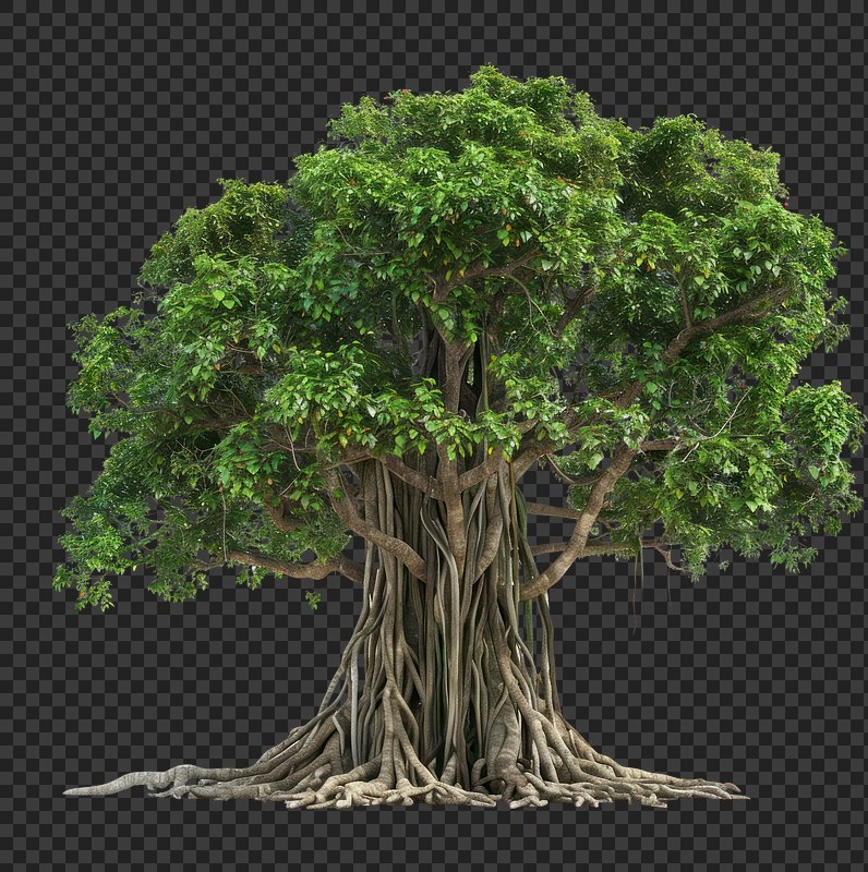 Tree+png Transparent Images | Free Photos, PNG Stickers, Wallpapers ...