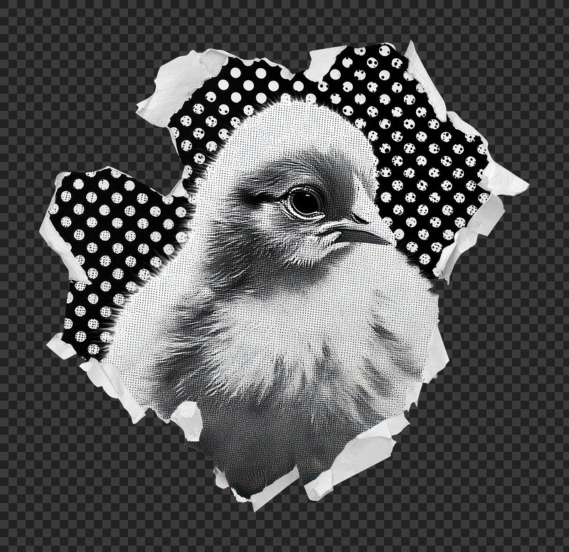 Pop Design Texture Images | Free Photos, PNG Stickers, Wallpapers ...