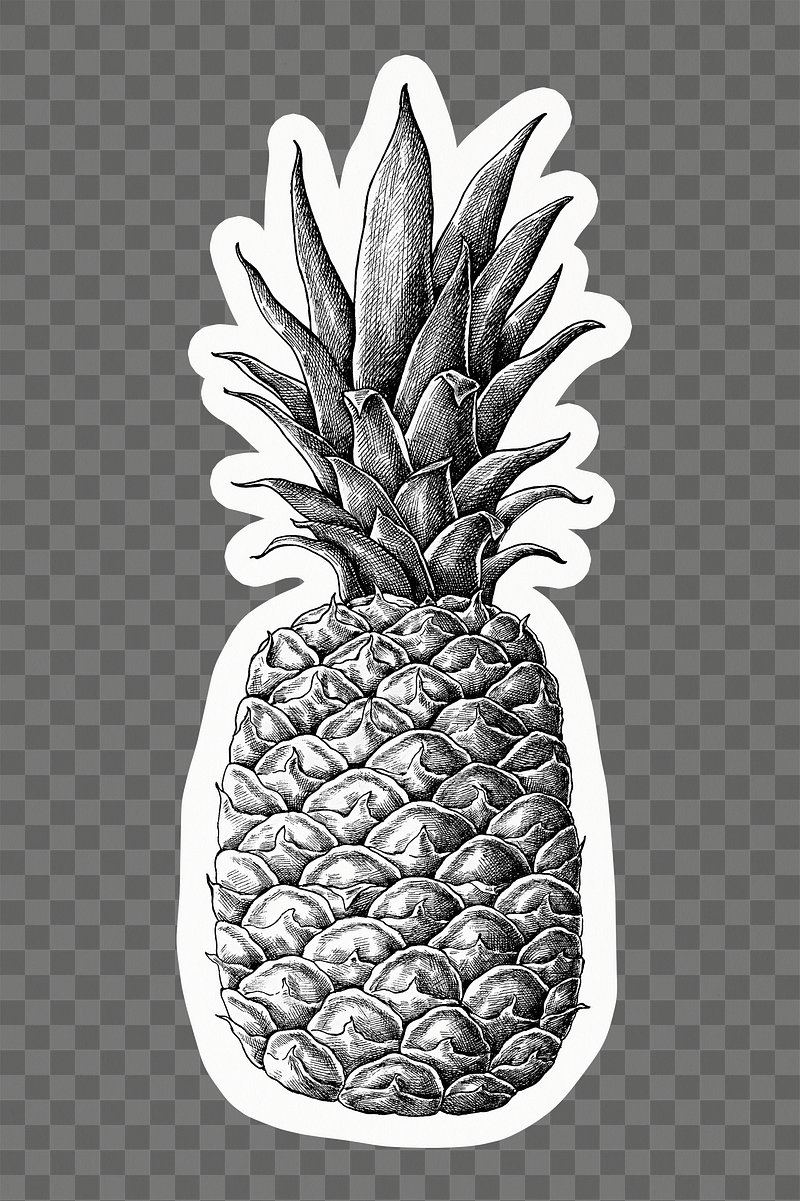 pineapples clipart black and white basketball