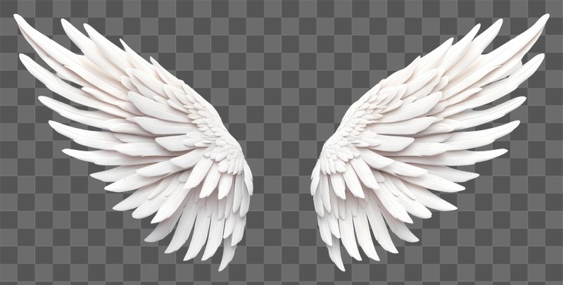 black and white angel wings wallpaper