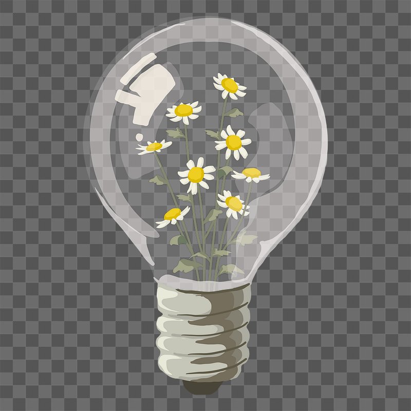 Light Bulb Flower PNG Images  Free Photos, PNG Stickers