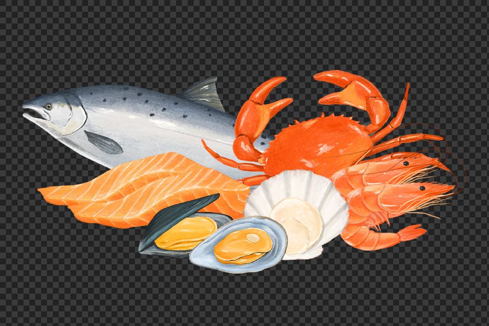 Seafood, fish, crab png digital paint, editable design