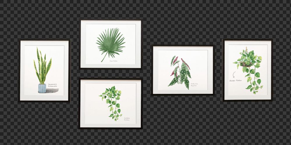 Gallery wall mockup element, editable picture frames