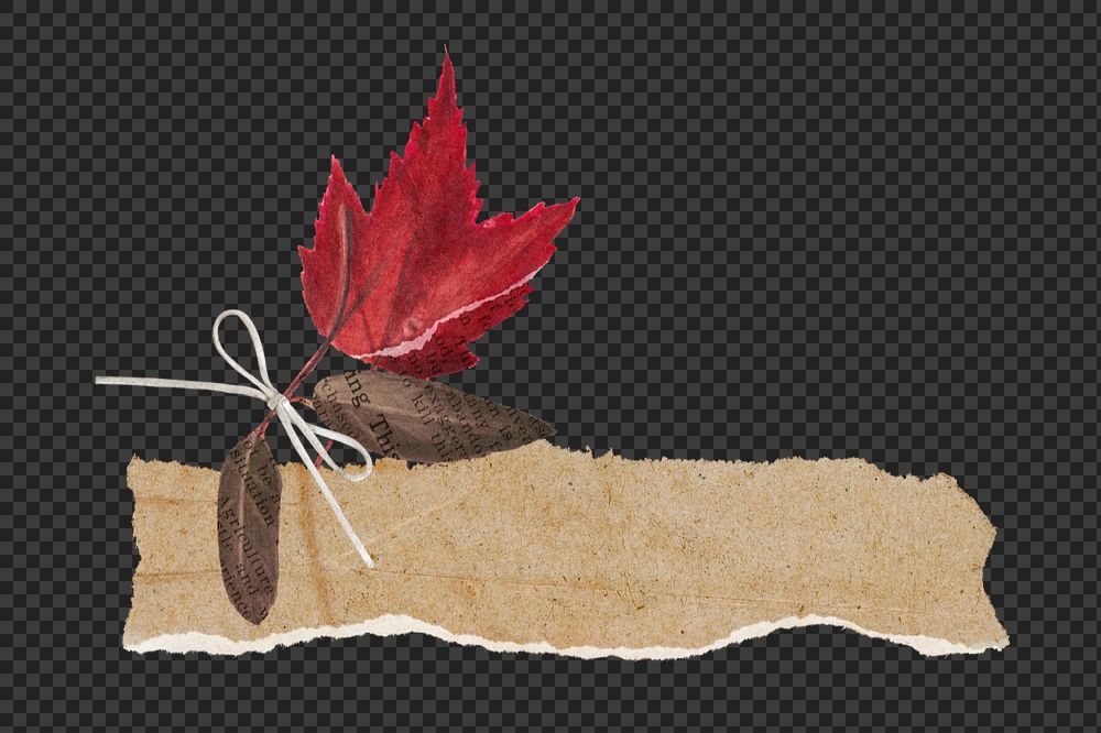 Autumn maple leaf element, editable ripped paper design
