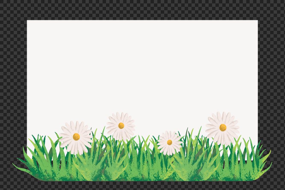 Editable daisy frame   png element, painting illustration