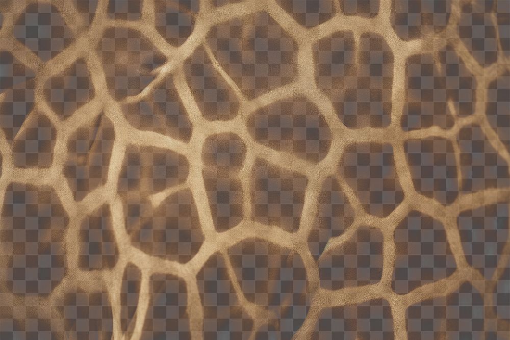 PNG Giraffe skin texture pattern, transparent background