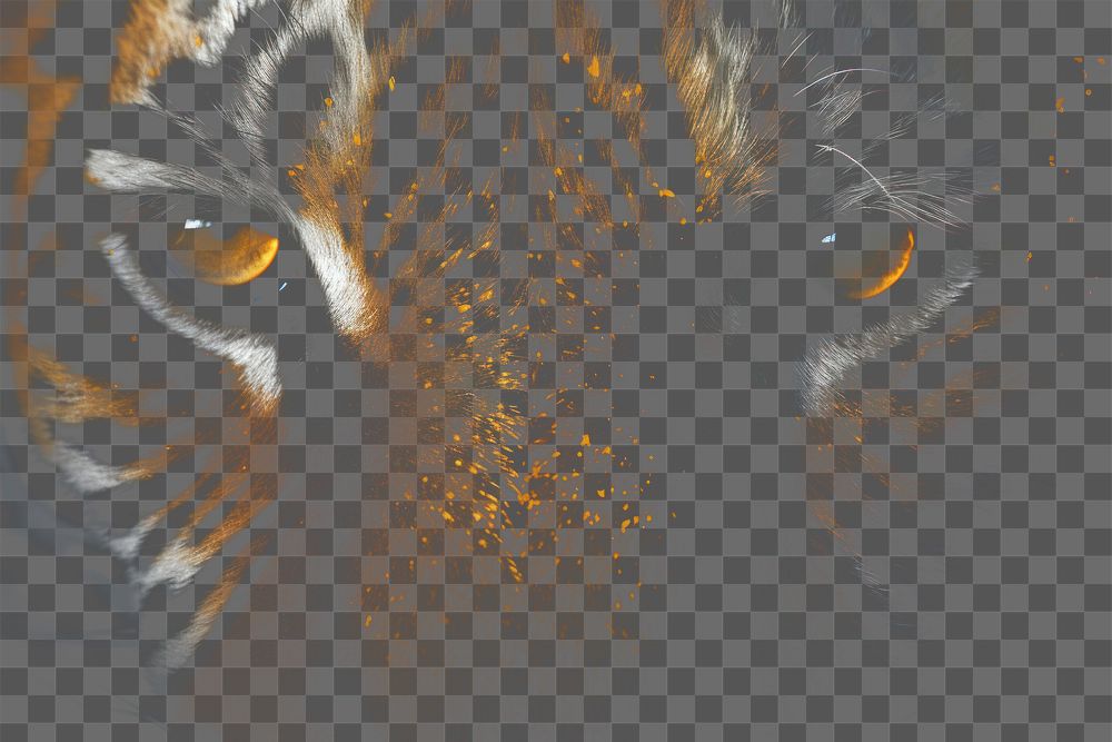 PNG Tiger eyes sparkle light glitter wildlife animal mammal.