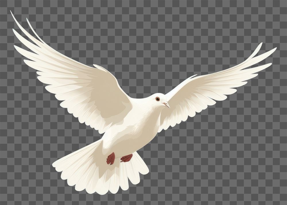 PNG Minimalist Illustration of flying dove animal bird wildlife.