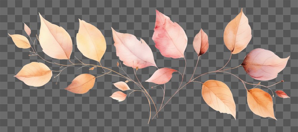PNG Autumn pattern plant petal. AI generated Image by rawpixel.