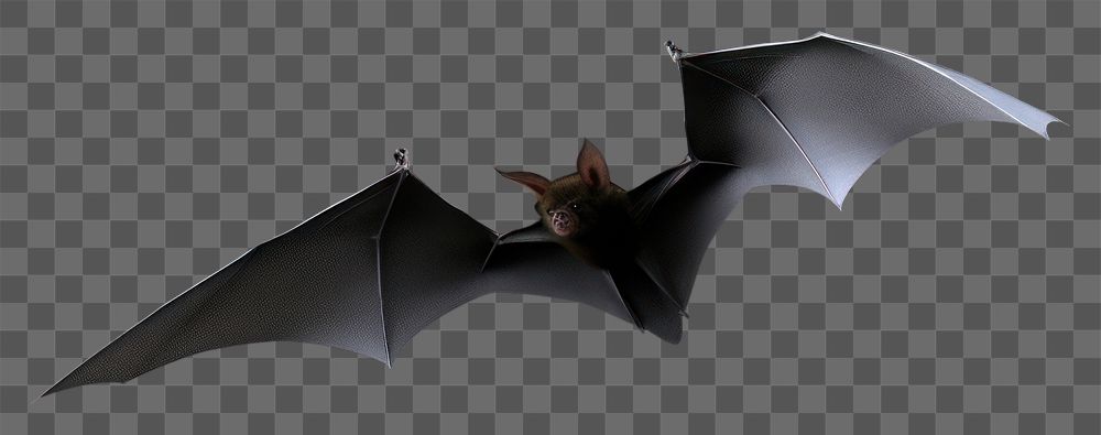 PNG  Bat fog effect wildlife animal black. AI generated Image by rawpixel.