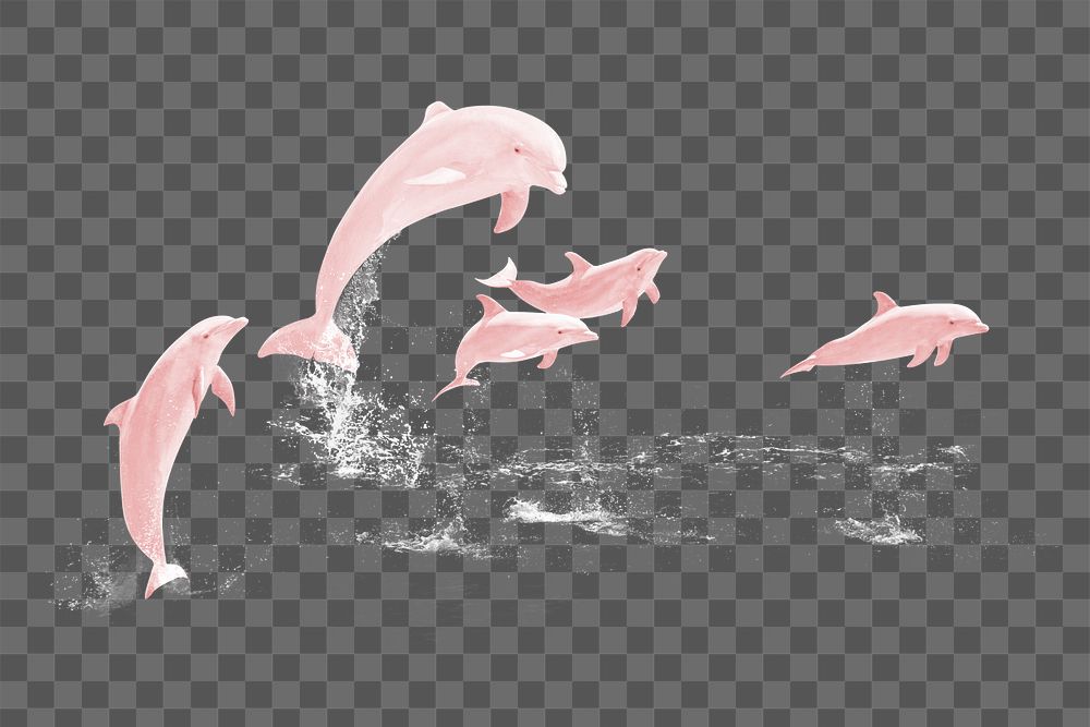 Pink dolphins png sticker, sea animal on transparent background