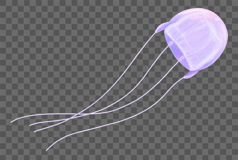 Purple jellyfish png sticker, animal illustration, transparent background