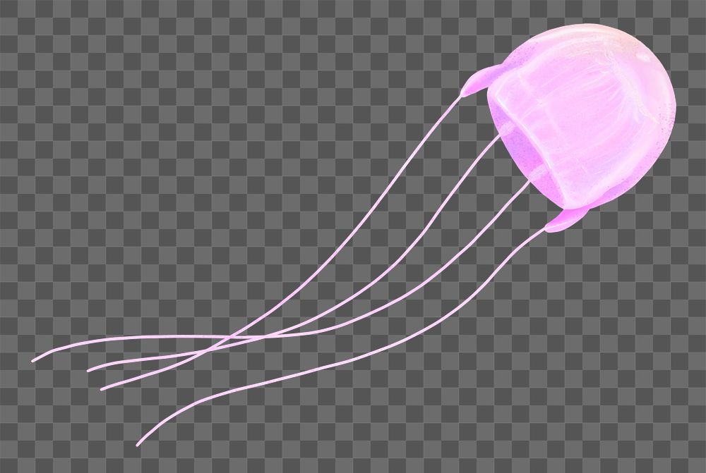 Pink jellyfish png sticker, animal illustration, transparent background