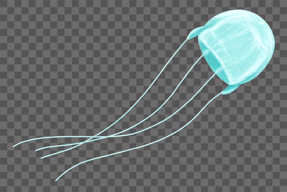 Turquoise jellyfish png sticker, animal illustration, transparent background