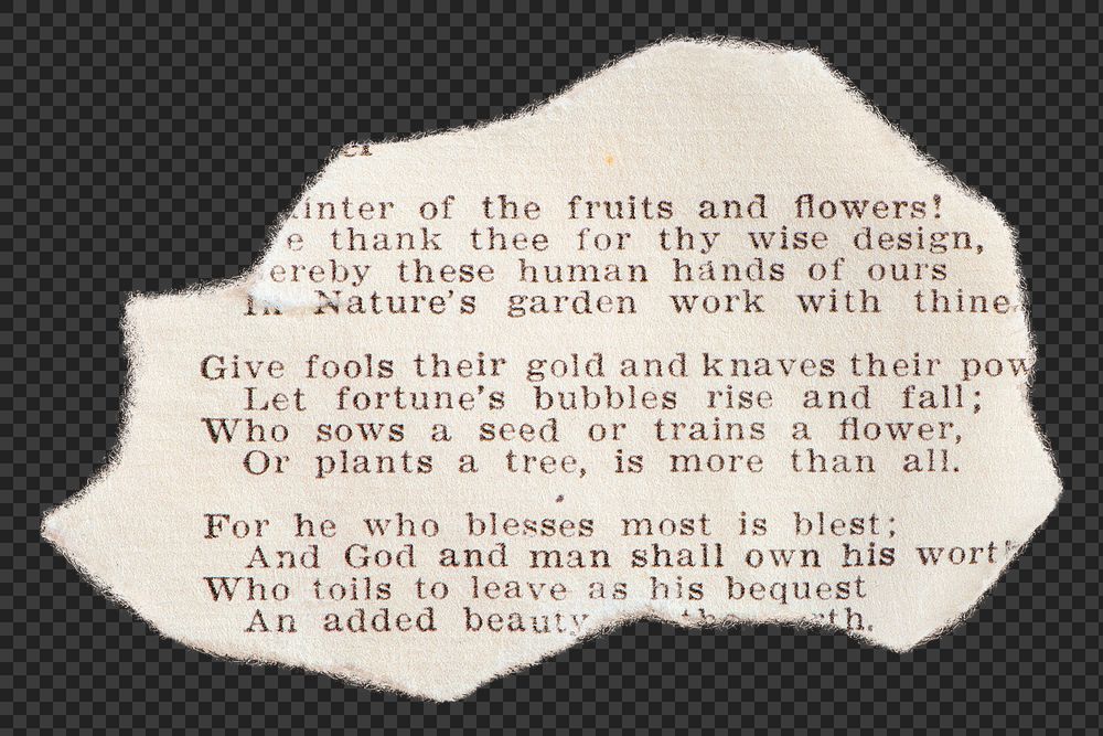 Ripped paper png collage element, transparent background