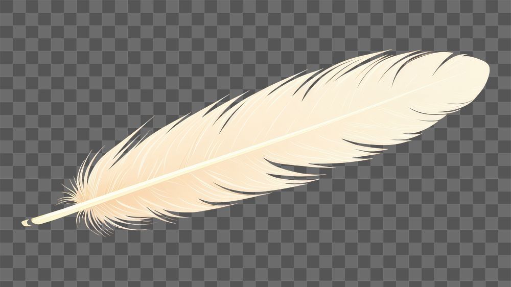 PNG Feather bird lightweight softness. AI generated Image by rawpixel.