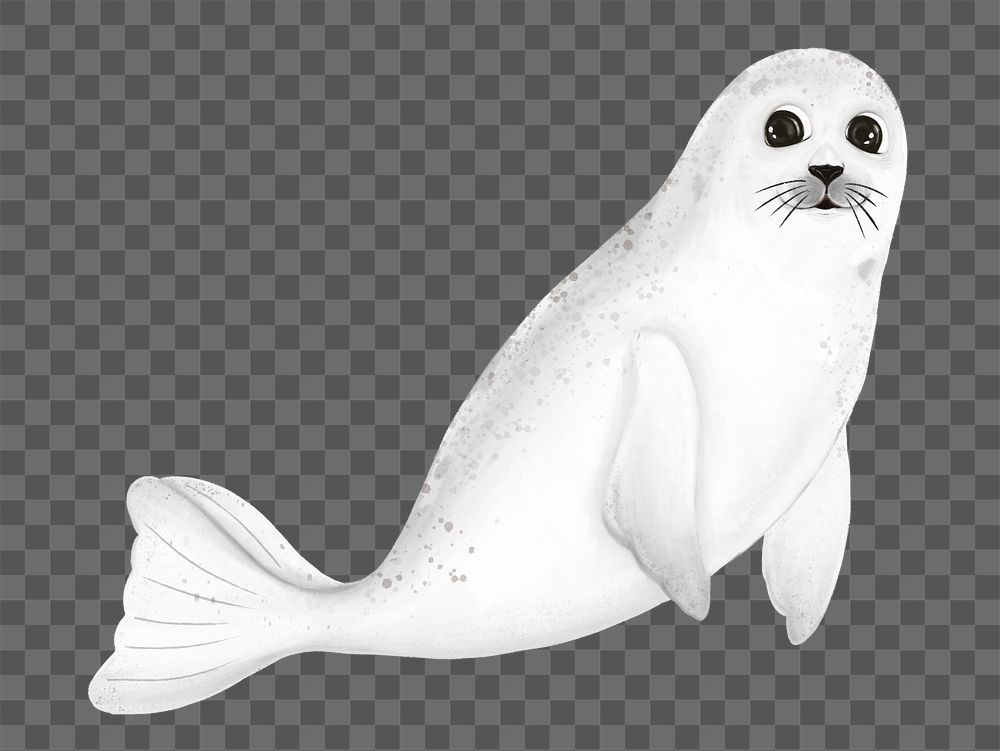 Cute seal png sticker, animal illustration, transparent background