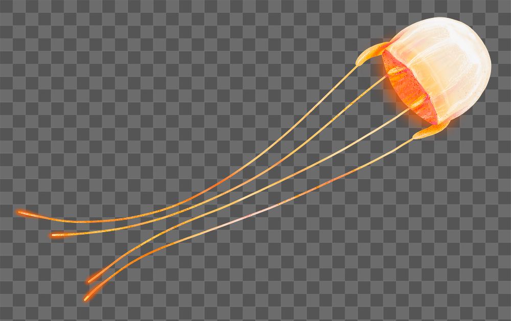 Neon orange jellyfish png sticker, animal illustration, transparent background