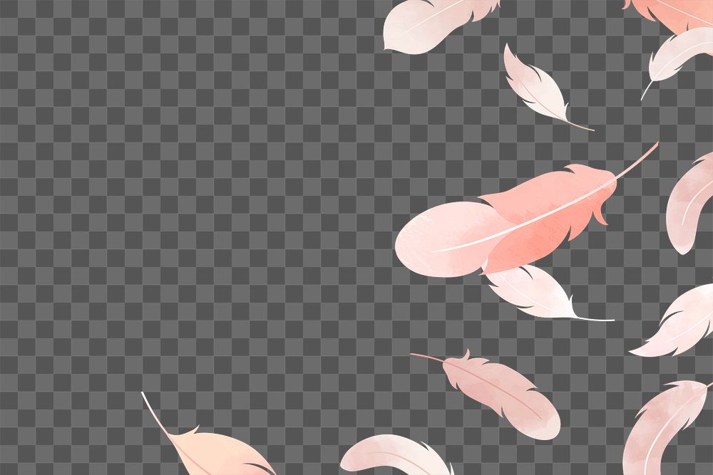 Feather png border, transparent background