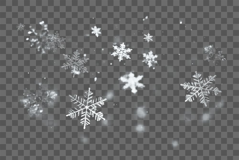 Falling snowflakes png overlay, transparent background
