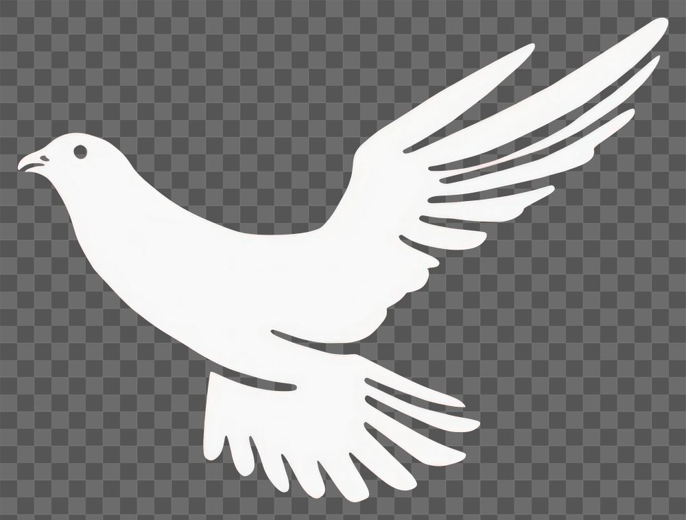 PNG Dove bird dove seagull. AI generated Image by rawpixel.