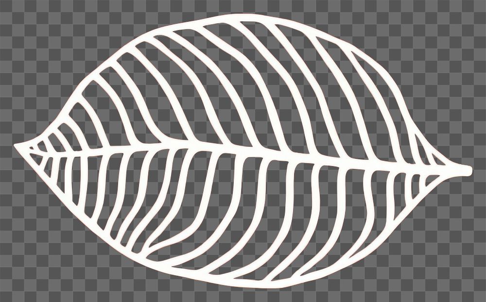 PNG Leaf astronomy outdoors pattern. AI generated Image by rawpixel.