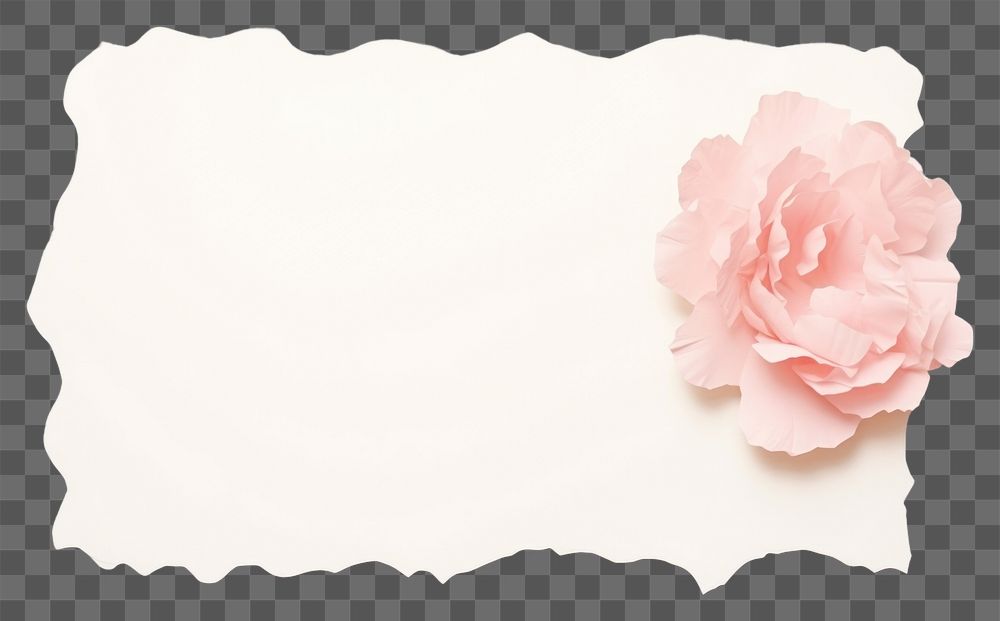 PNG Flower pattern paper petal plant rose. AI generated Image by rawpixel.