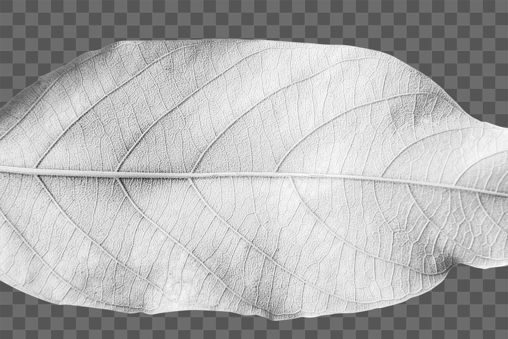 Leaf painted in white