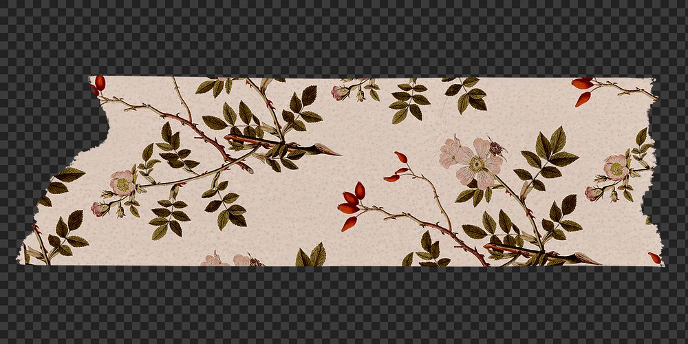 Vintage washi tape png clipart, floral collage element on transparent background